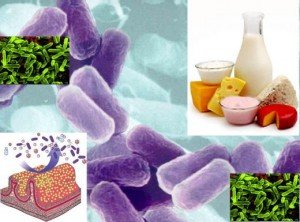 Восстановление микрофлоры