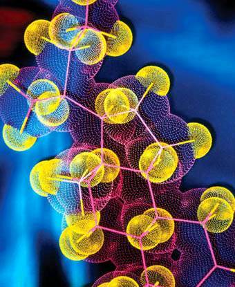 Ферменты, витамины, гормоны