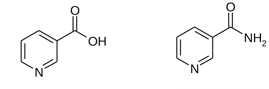 Никотинамид (витамин В3)