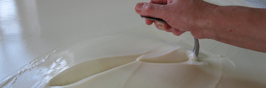 Пепсин. Свойства и действие на организм