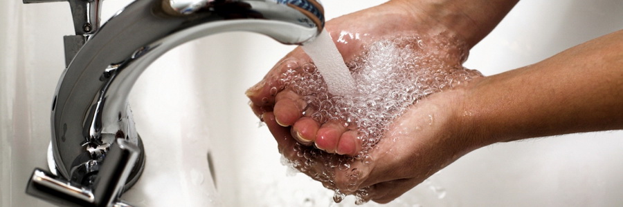 Профилактика гельминтозов в бытовых условиях