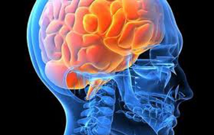 Польза лецитина для человека