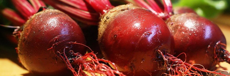 Свекла сублимированная. Полезные свойства