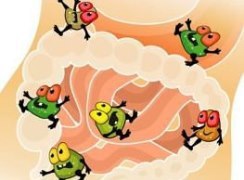 симбиотики