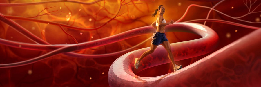 Атеросклероз - причины, симптомы, лечение