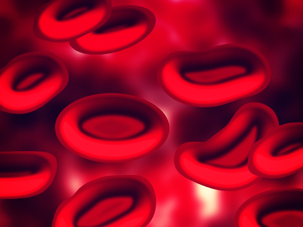 железо в пищевых продуктах