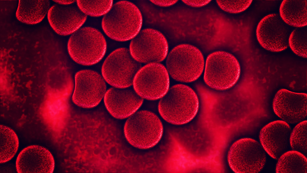 недорогие препараты железа