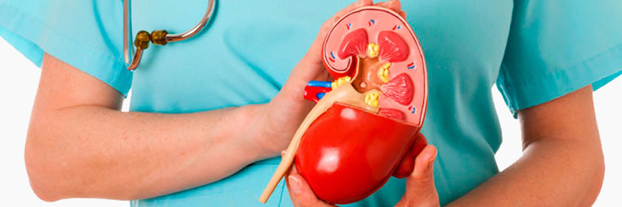 Болезни мочевого пузыря