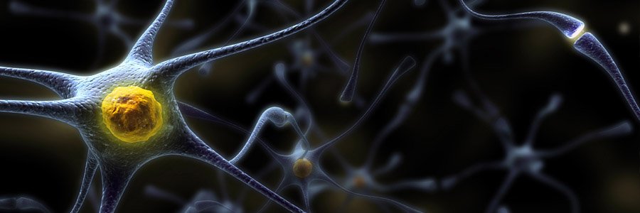 Демиелинизирующие заболевание цнс