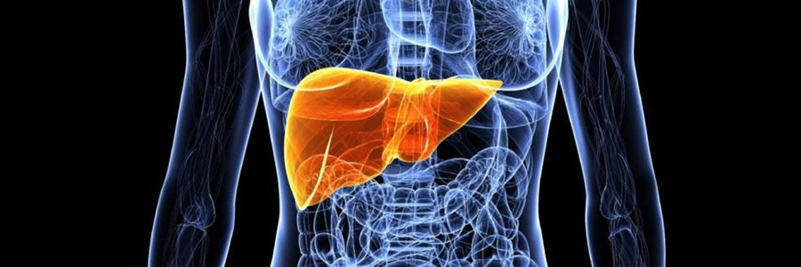 Гепатон 2 для печінки