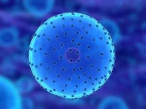 Свойства лецитина