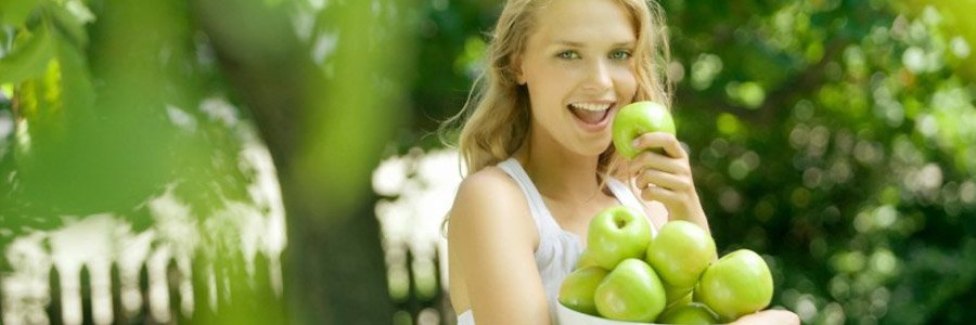 Джерела заліза - порівняння аналогів Ферродок, Фенюльс, Сидерал, Феррум Лек