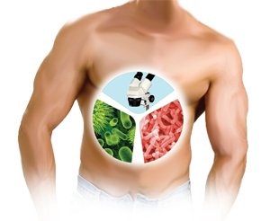 Восстановление микрофлоры