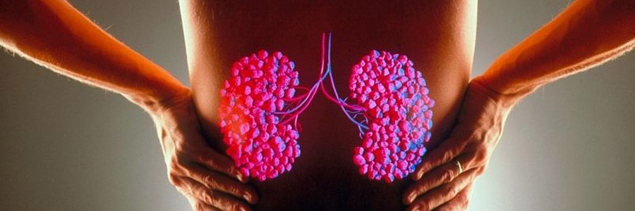 Мочекаменная болезнь