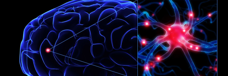 Олеопрен Нейро - ваш мозг полон сил! Часть 2