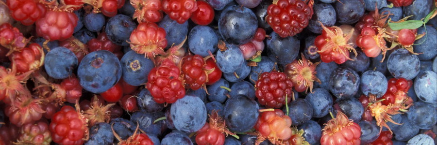 Витамин Р (рутин). Свойства, польза и применение