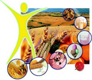 содержание клетчатки