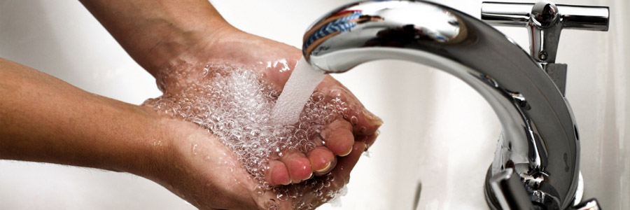 Профілактика і лікування глистів