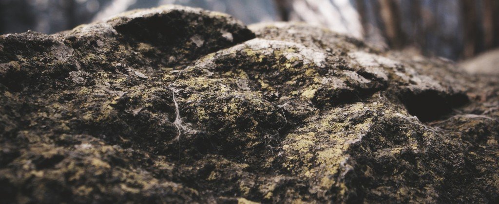 Гидроксиапатит кальция