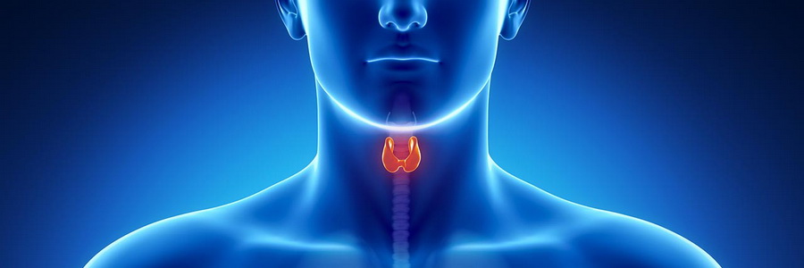 Тиреотоксикоз. Симптомы и лечение