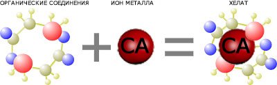 хелатная форма кальция